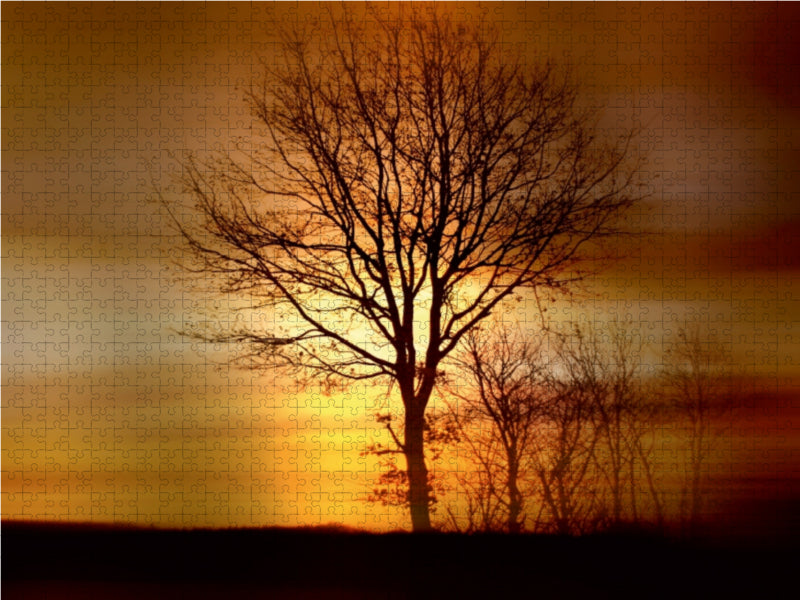 Wintermorgen 1000 Teile Puzzle quer - CALVENDO Foto-Puzzle'