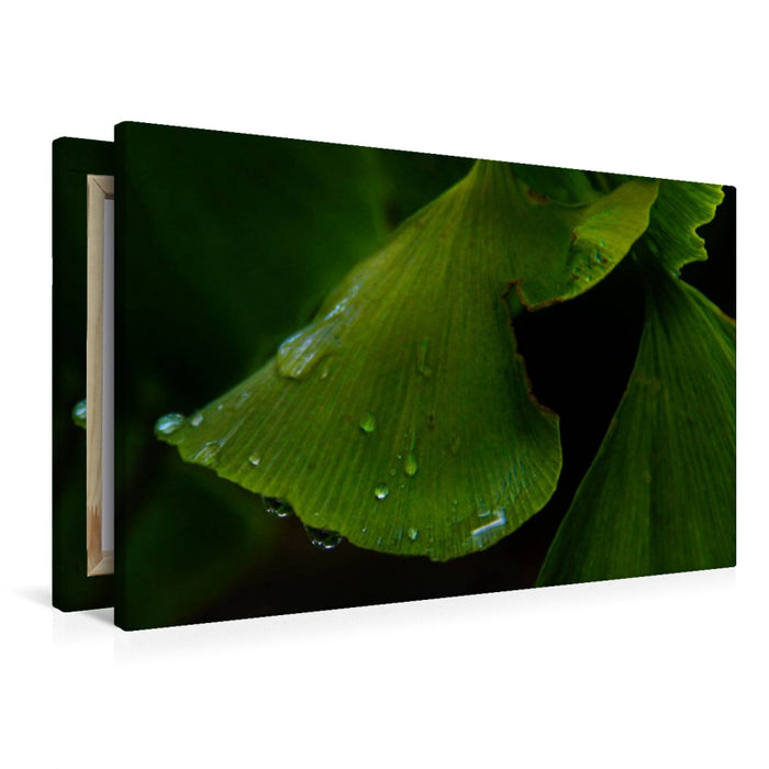 Premium Textil-Leinwand Ginkgo