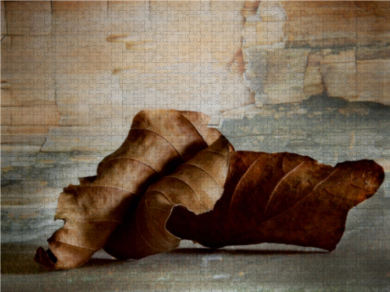 Vergängliche Schönheit 1000 Teile Puzzle quer - CALVENDO Foto-Puzzle'
