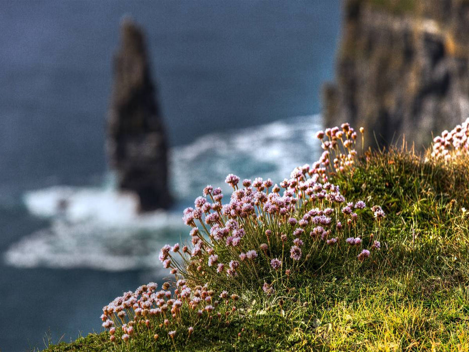 Klippen von Moher - CALVENDO Foto-Puzzle'