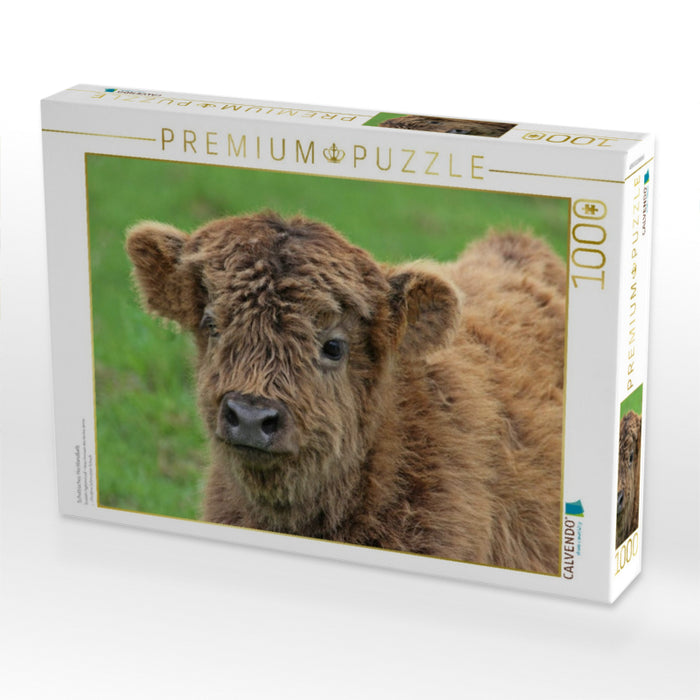 Schottisches Hochlandkalb - CALVENDO Foto-Puzzle'