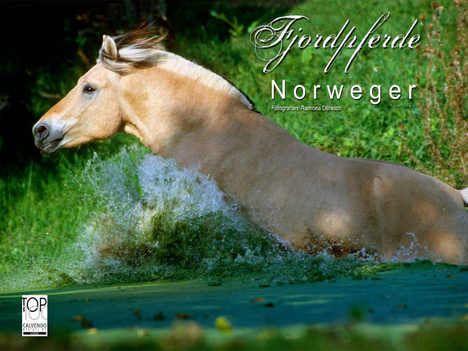 Ein Motiv aus dem Kalender Fjordpferde - Norweger - CALVENDO Foto-Puzzle'