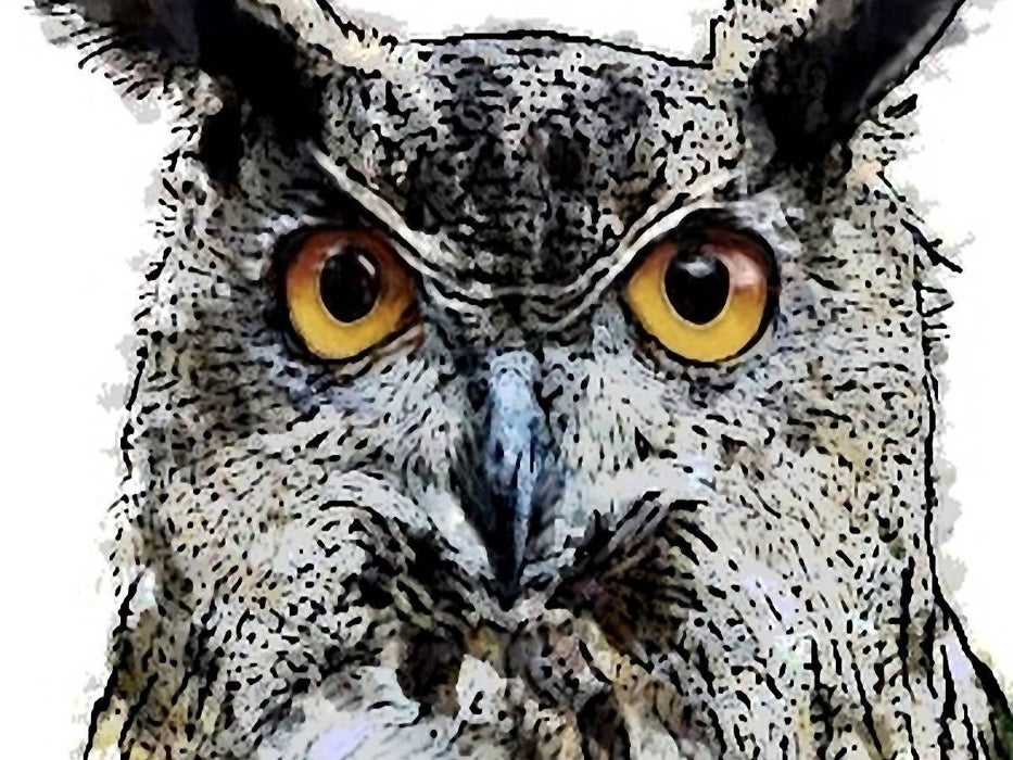 Krafttier Eule - Der Adler der Nacht - CALVENDO Foto-Puzzle'