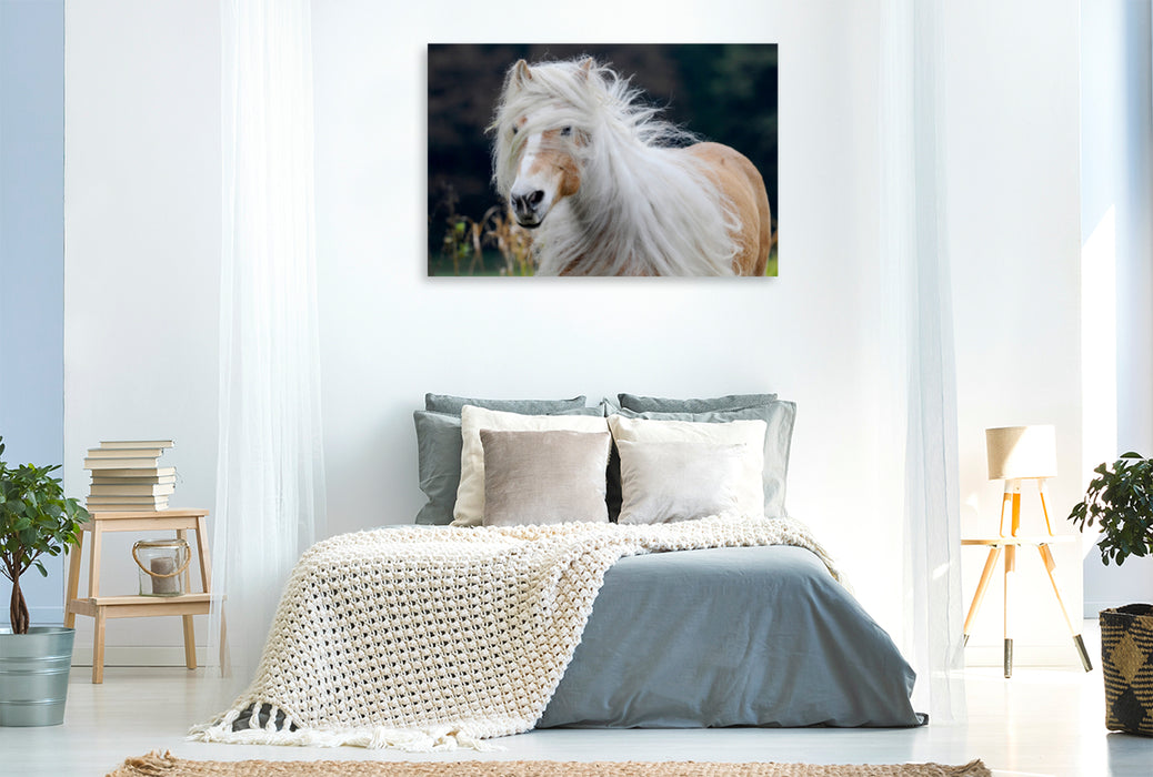 Toile textile haut de gamme Toile textile haut de gamme 120 cm x 80 cm paysage Un motif du calendrier Haflinger Beauties 