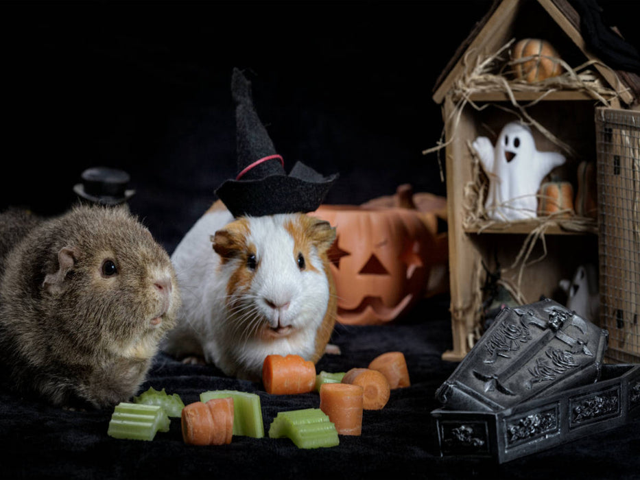 Schweinoween - CALVENDO Foto-Puzzle'