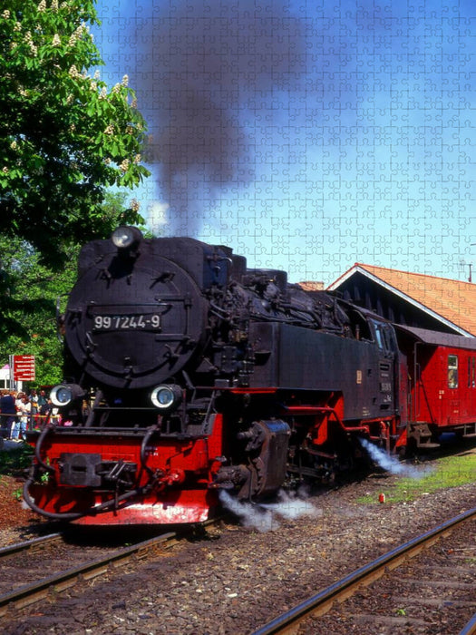 Ein Motiv aus dem Kalender Der Harz und seine Sehenswürdigkeiten - CALVENDO Foto-Puzzle'