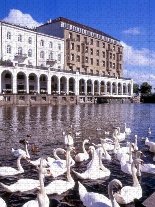 Hamburgs Alsterschwäne - CALVENDO Foto-Puzzle'