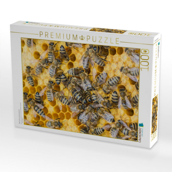 Bienenbrut wird produziert - CALVENDO Foto-Puzzle'