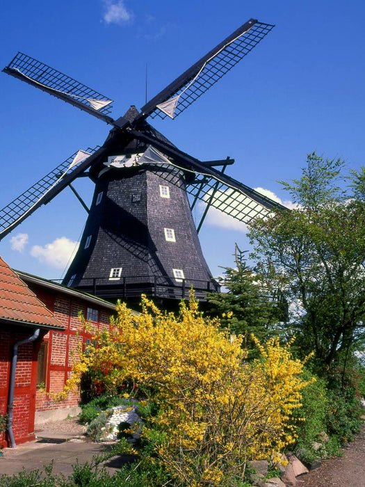 Ein Motiv aus dem Kalender Windmühlen in Norddeutschland - CALVENDO Foto-Puzzle'