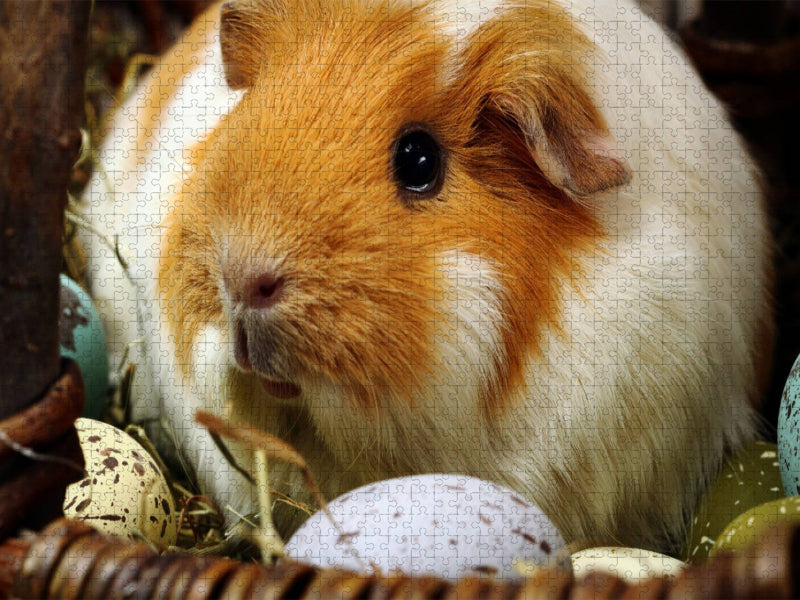 Osterschwein - CALVENDO Foto-Puzzle'