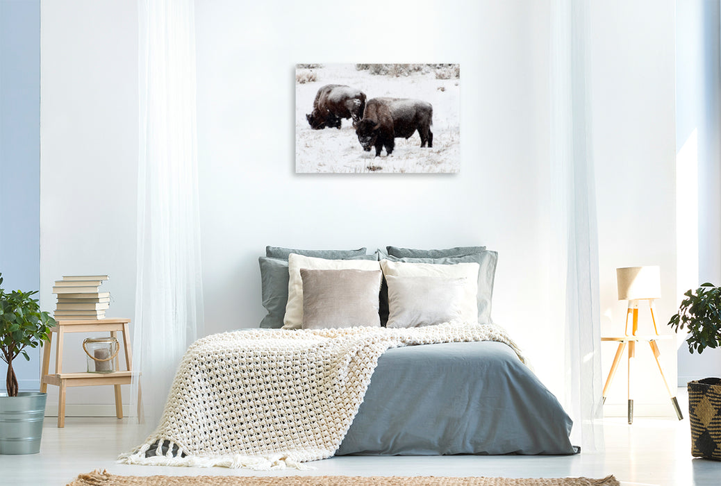 Toile textile premium Toile textile premium 120 cm x 80 cm paysage Bisons sur le plateau Blacktail 