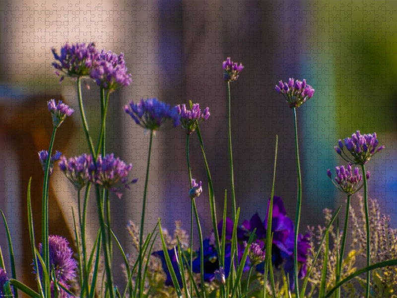 Lila Blumen - CALVENDO Foto-Puzzle'