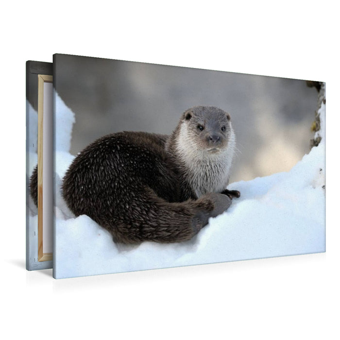 Toile textile premium Toile textile premium 120 cm x 80 cm paysage Loutre mignonne 