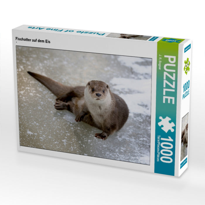 Loutre sur la glace - Puzzle photo CALVENDO 