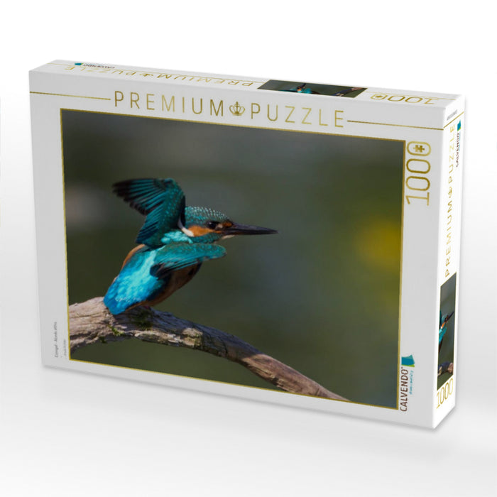 Eisvogel - Alcedo atthis - CALVENDO Foto-Puzzle'