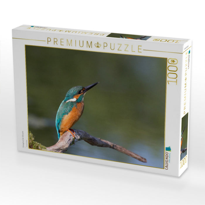 Eisvogel auf der Sitzwarte - CALVENDO Foto-Puzzle'