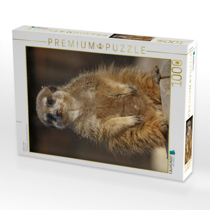 Erdmännchen - CALVENDO Foto-Puzzle'