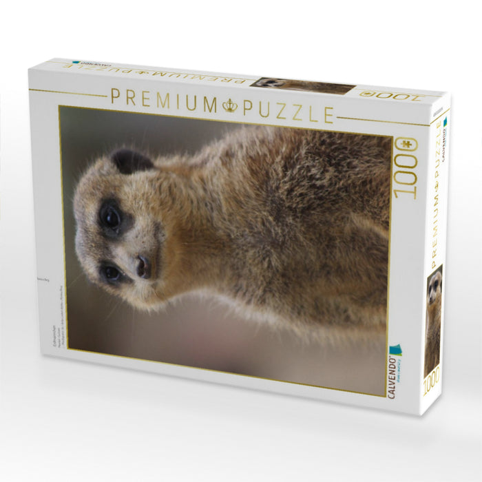 Erdmännchen - CALVENDO Foto-Puzzle'