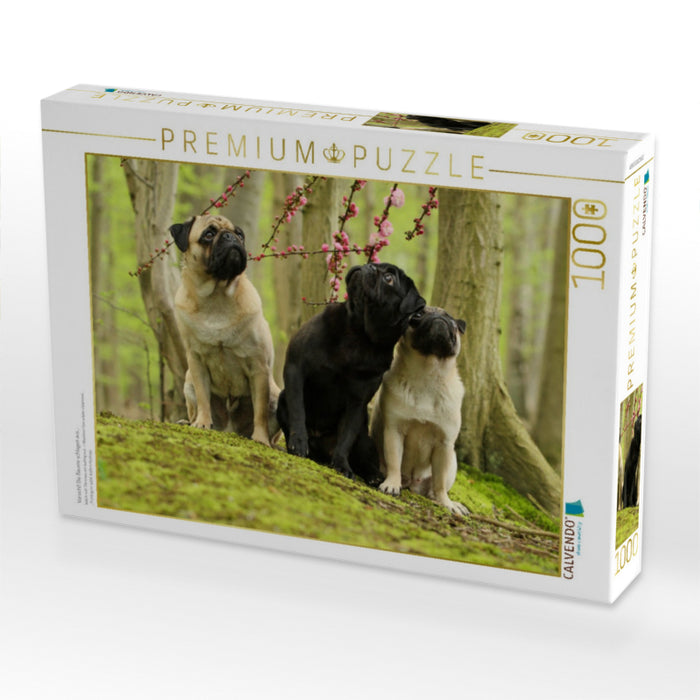 Vorsicht! Die Bäume schlagen aus... - CALVENDO Foto-Puzzle'