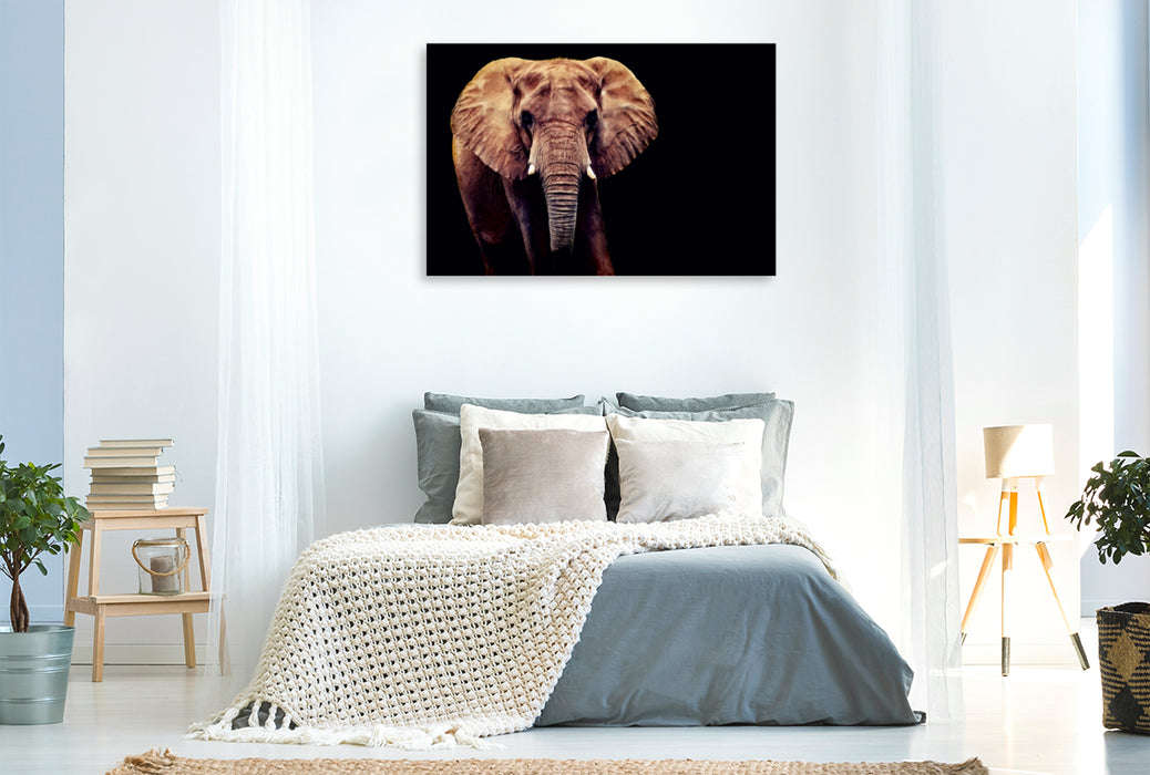 Premium Textil-Leinwand Premium Textil-Leinwand 120 cm x 80 cm quer Afrikanischer Elefant