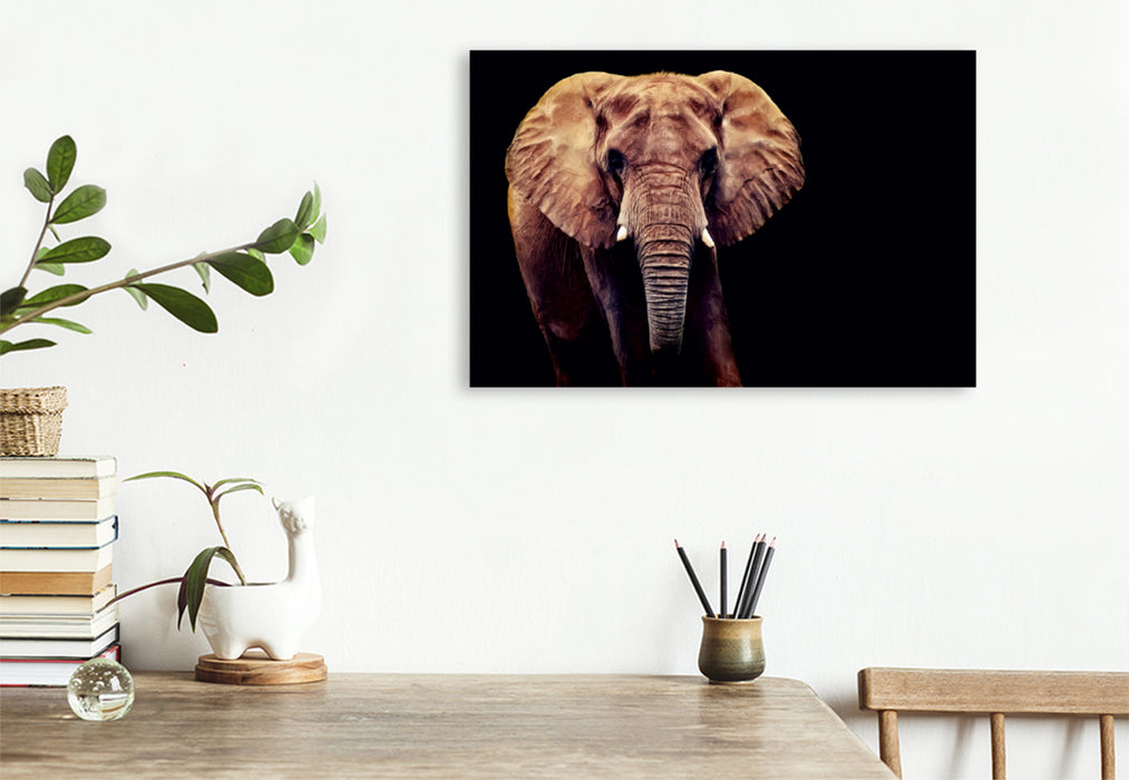 Premium Textil-Leinwand Premium Textil-Leinwand 120 cm x 80 cm quer Afrikanischer Elefant