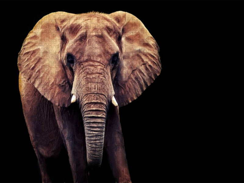 Afrikanischer Elefant - CALVENDO Foto-Puzzle'