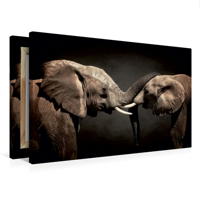 Premium Textil-Leinwand Two Elephants