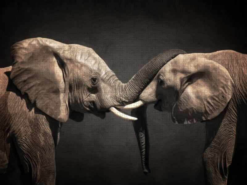 Two Elephants - CALVENDO Foto-Puzzle'