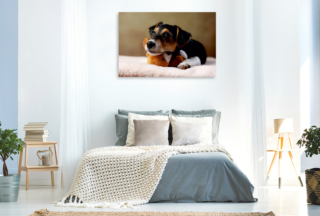 Premium Textil-Leinwand Premium Textil-Leinwand 120 cm x 80 cm quer Liu - Jack Russell-Terrier, 10 Wochen
