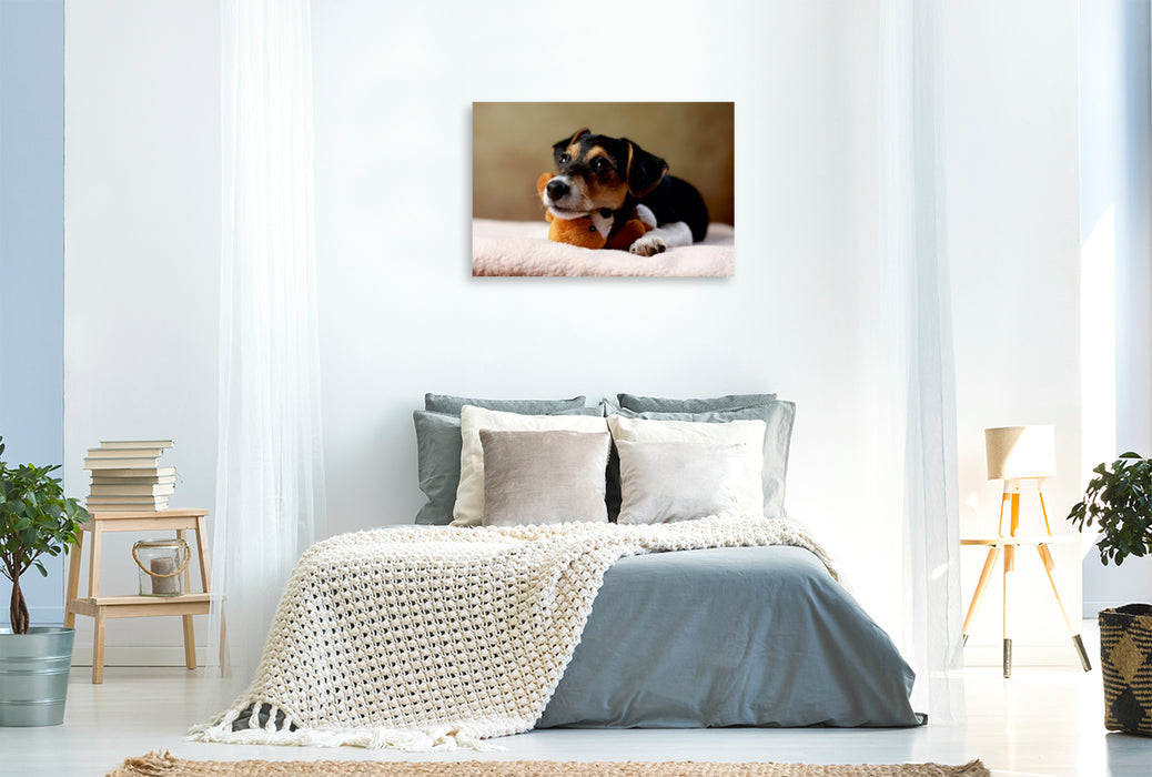Premium Textil-Leinwand Premium Textil-Leinwand 120 cm x 80 cm quer Liu - Jack Russell-Terrier, 10 Wochen