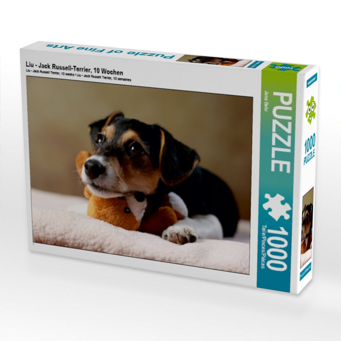 Liu - Jack Russell-Terrier, 10 Wochen 1000 Teile Puzzle quer - CALVENDO Foto-Puzzle'