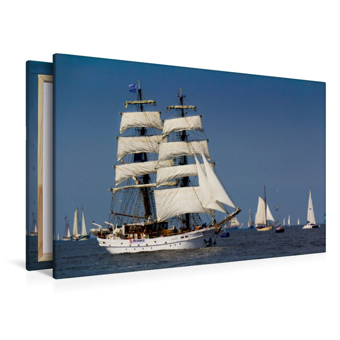 Premium Textil-Leinwand Aphrodite