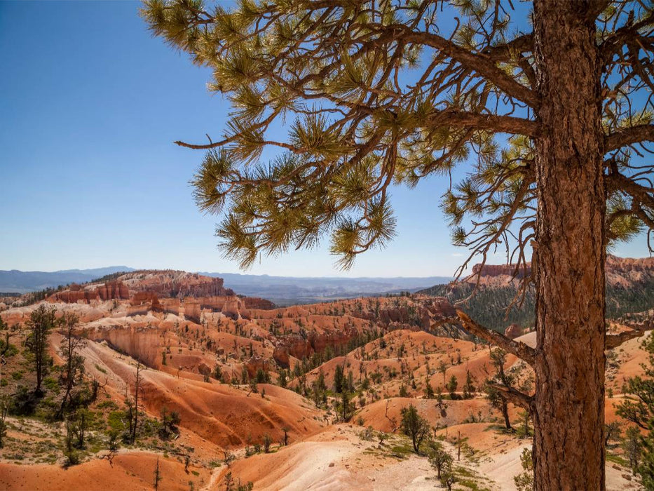 BRYCE CANYON Blick über das Tal - CALVENDO Foto-Puzzle'