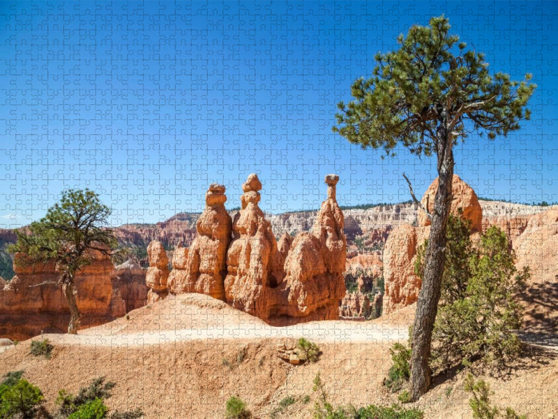 BRYCE CANYON Wanderpfad durch die Felsformationen - CALVENDO Foto-Puzzle'