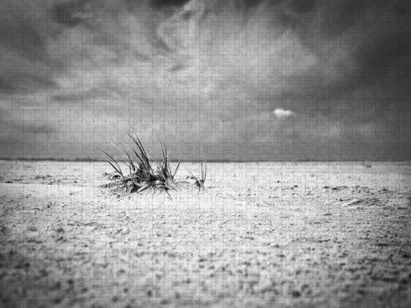 Strandgeselle - CALVENDO Foto-Puzzle'