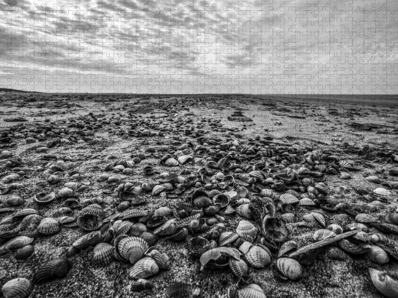 Muschelsucher - CALVENDO Foto-Puzzle'
