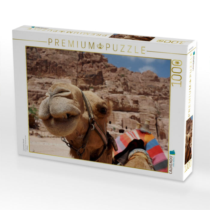 Lächelndes Kamel - CALVENDO Foto-Puzzle'