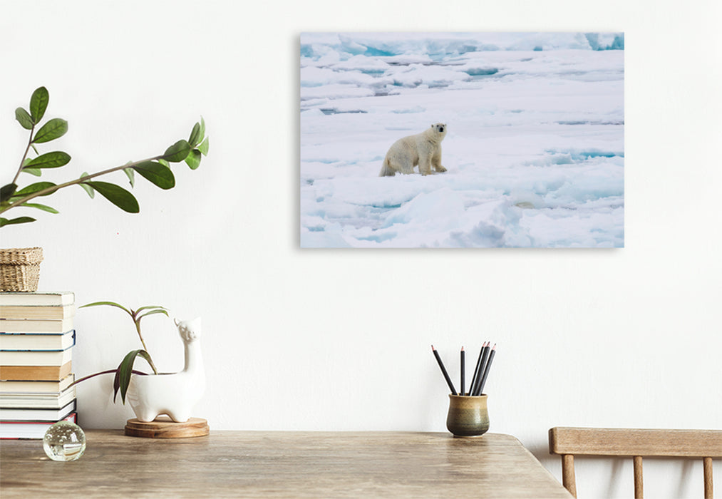 Premium textile canvas Premium textile canvas 120 cm x 80 cm landscape polar bear 