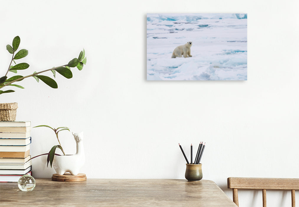 Premium textile canvas Premium textile canvas 120 cm x 80 cm landscape polar bear 