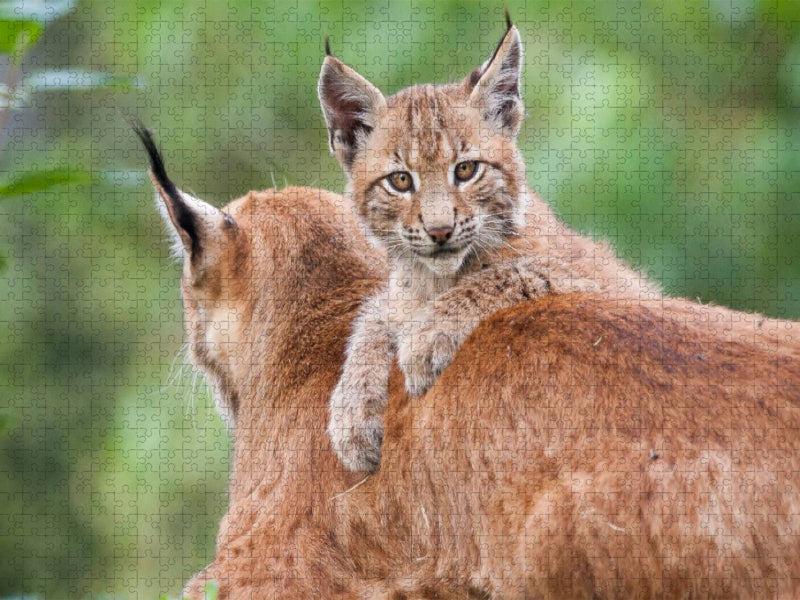 Mama gehört mir - CALVENDO Foto-Puzzle'