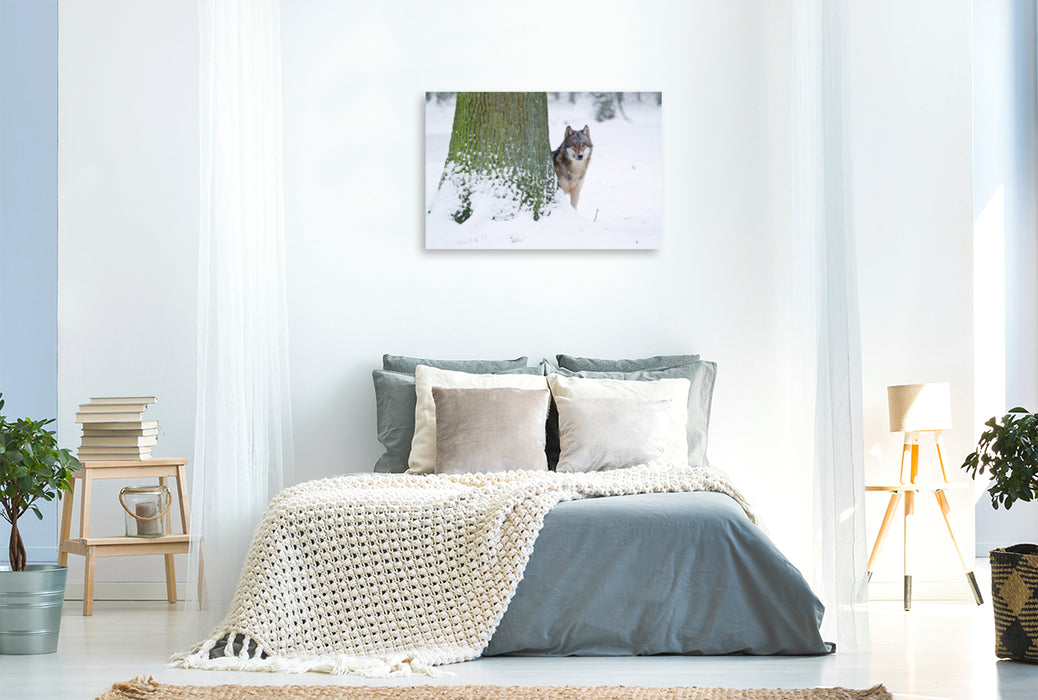 Premium textile canvas Premium textile canvas 120 cm x 80 cm landscape Wolf in winter 
