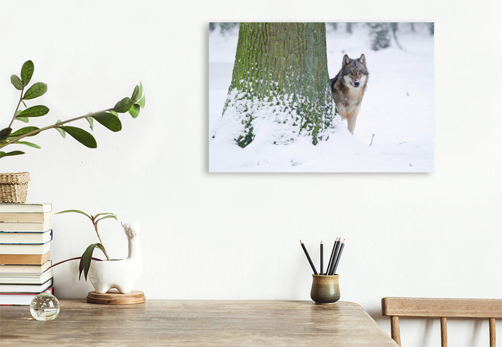 Premium textile canvas Premium textile canvas 120 cm x 80 cm landscape Wolf in winter 