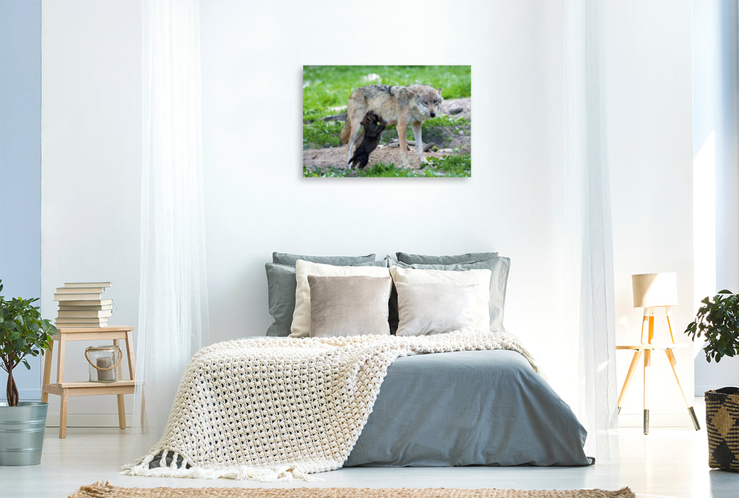 Premium textile canvas Premium textile canvas 120 cm x 80 cm landscape Wolf pup sucking 