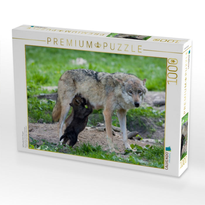 Wolfswelpe beim Saugen - CALVENDO Foto-Puzzle'