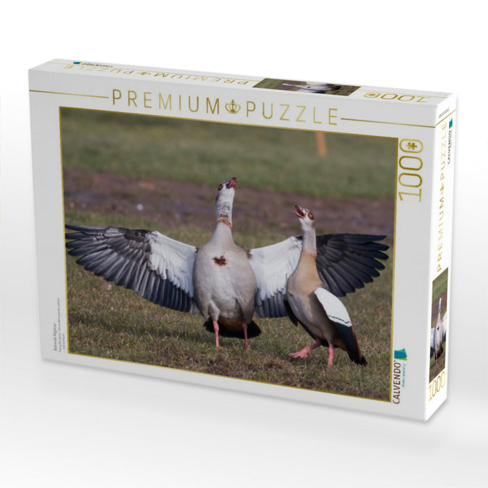 Balzende Nilgänse - CALVENDO Foto-Puzzle'