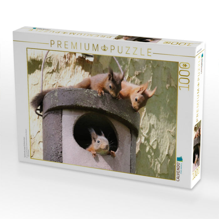 Spielende junge Eichhörnchen - CALVENDO Foto-Puzzle'