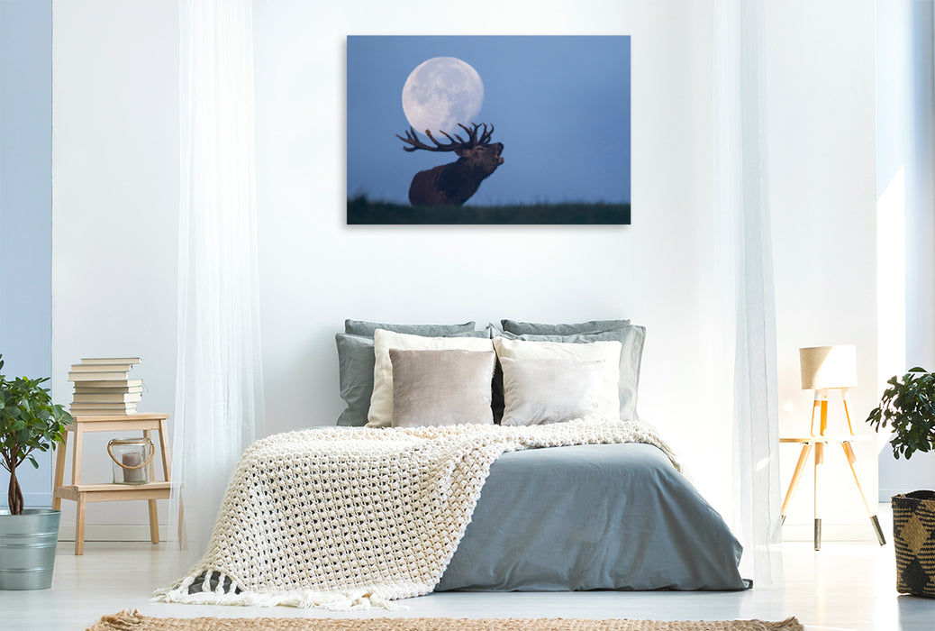 Premium textile canvas Premium textile canvas 120 cm x 80 cm landscape Roaring deer 