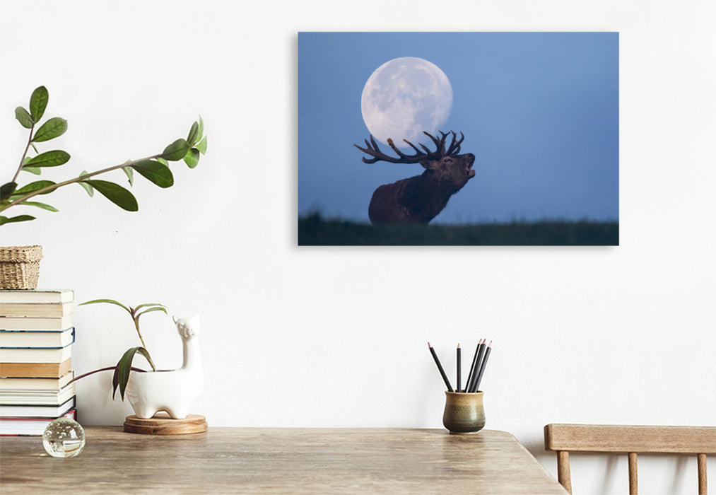 Premium textile canvas Premium textile canvas 120 cm x 80 cm landscape Roaring deer 
