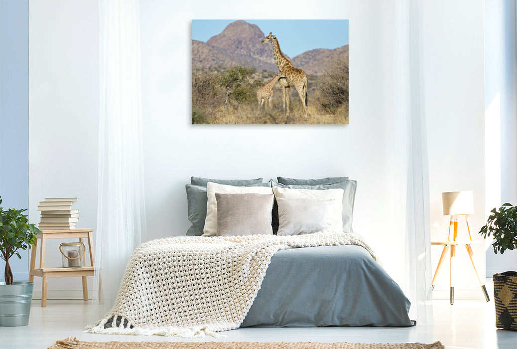 Premium textile canvas Premium textile canvas 120 cm x 80 cm landscape Giraffe with young animal 