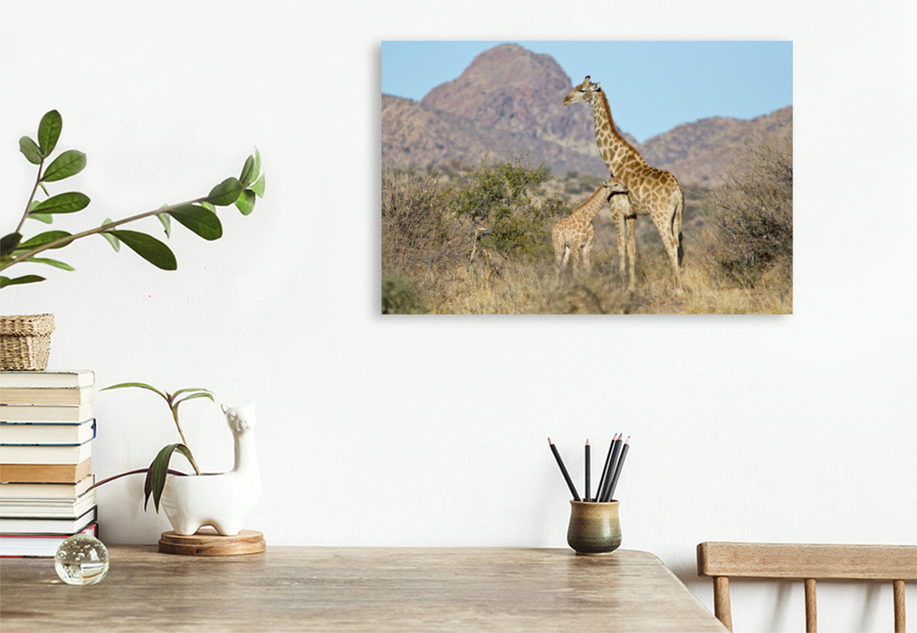 Premium textile canvas Premium textile canvas 120 cm x 80 cm landscape Giraffe with young animal 